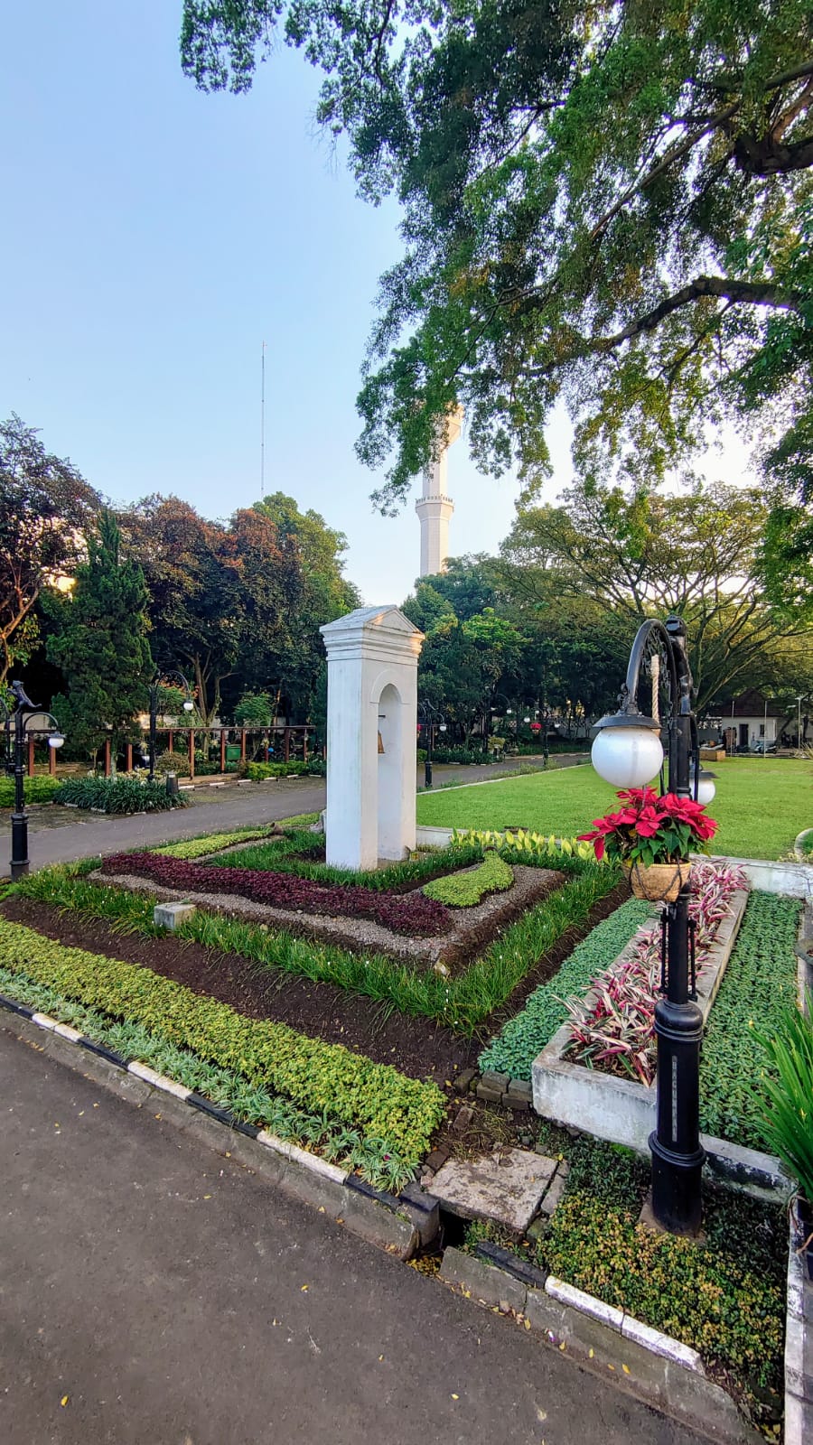 Media Image