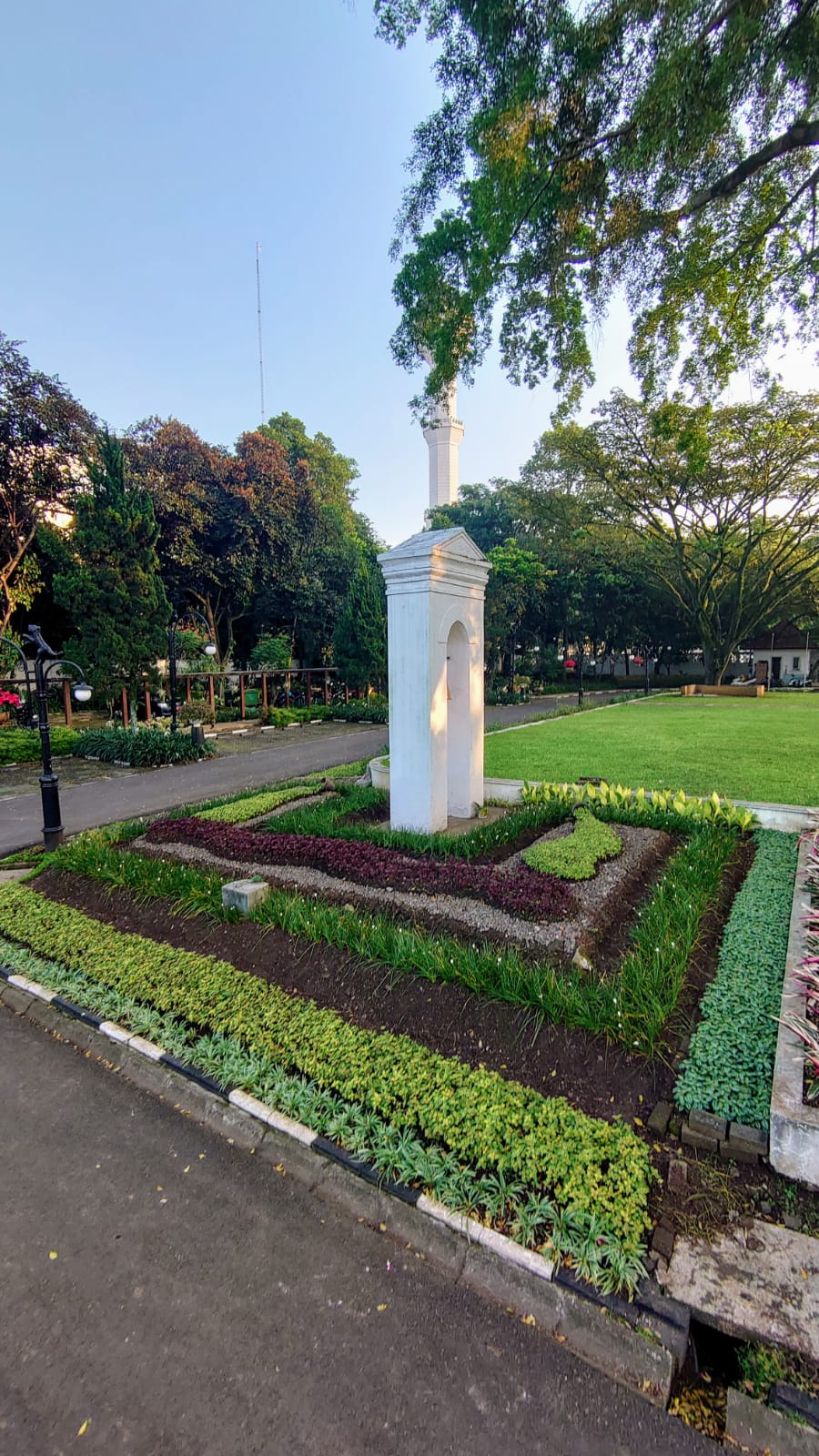 Media Image